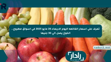 تعرف على أسعار الفاكهة اليوم الأربعاء 28 مايو 2025 في أسواق مطروح.. الخوخ يصل إلى 30 جنيها